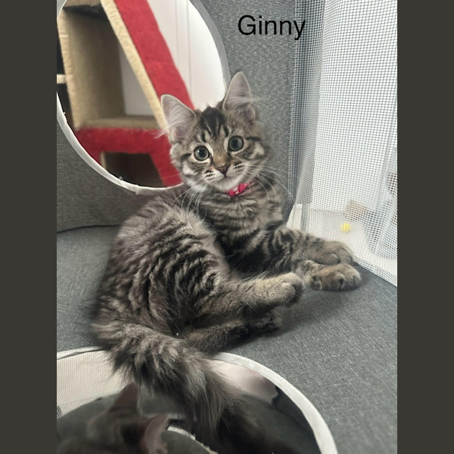 Photo of Ginny