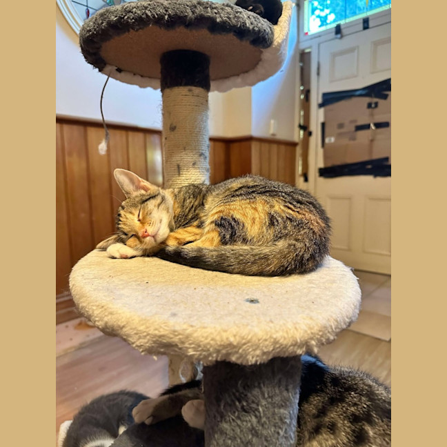 Photo of Wendy