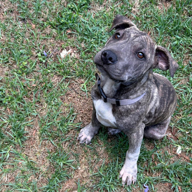 Photo of Theodore
