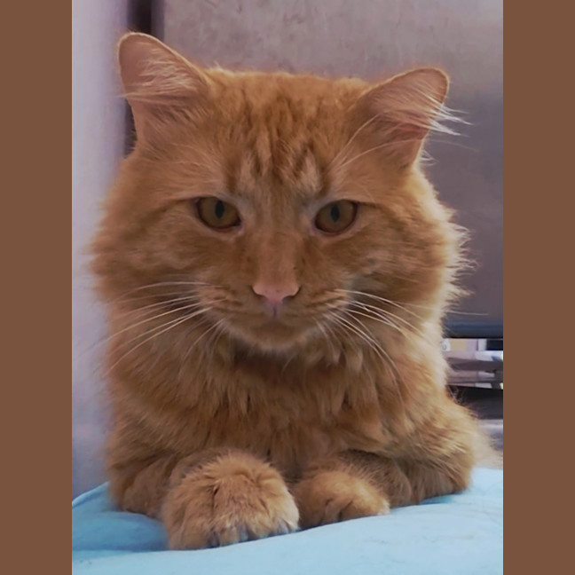Photo of Bjorn (9050)