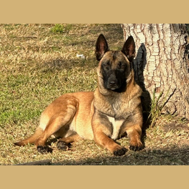 Photo of Roxy ** So So Special **