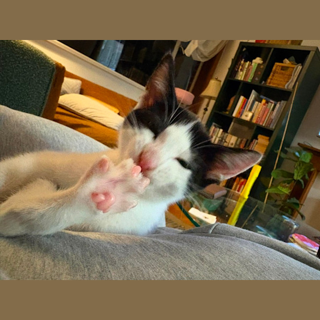 Photo of Benny