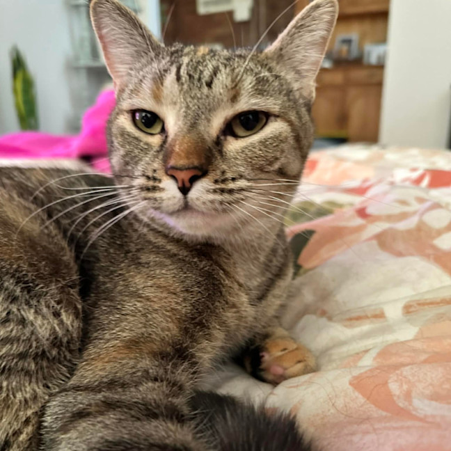 Photo of Phoebe