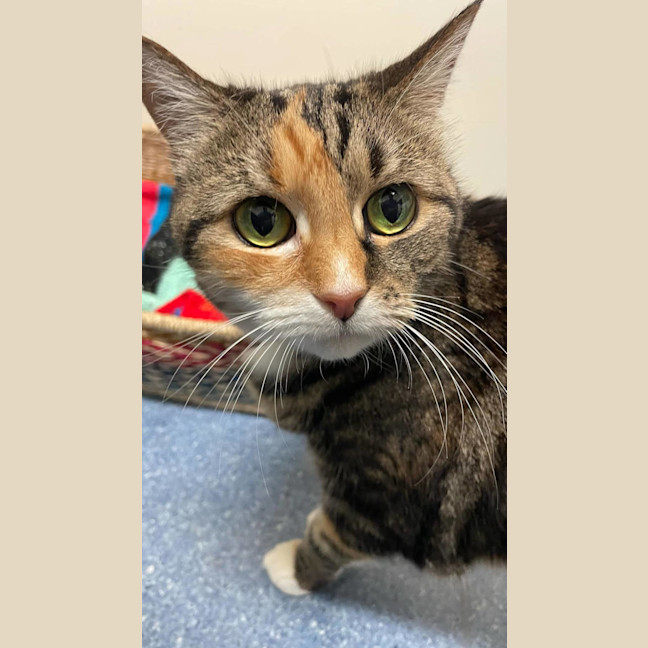 Photo of Dorothy