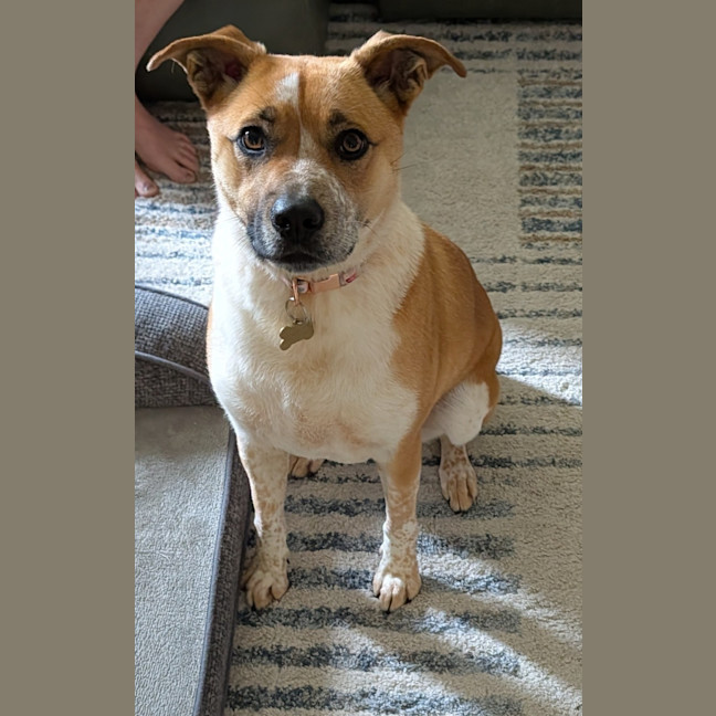 Photo of Sally Brown