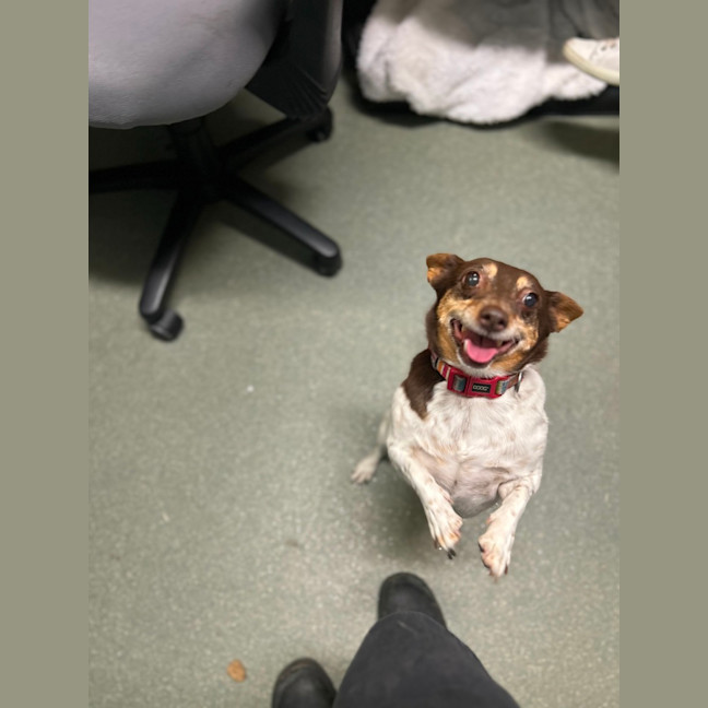 Photo of Buggerluggs