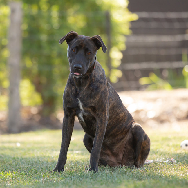 Photo of Hazel