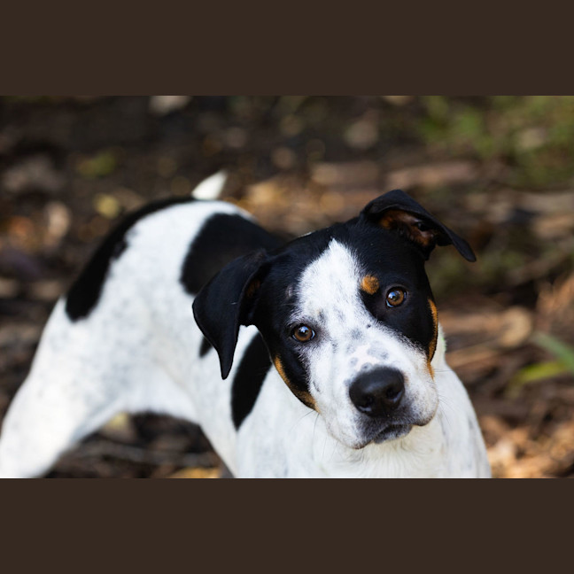 Photo of Mate