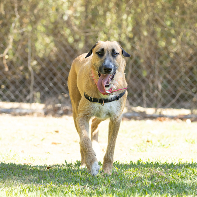 Photo of Hugo