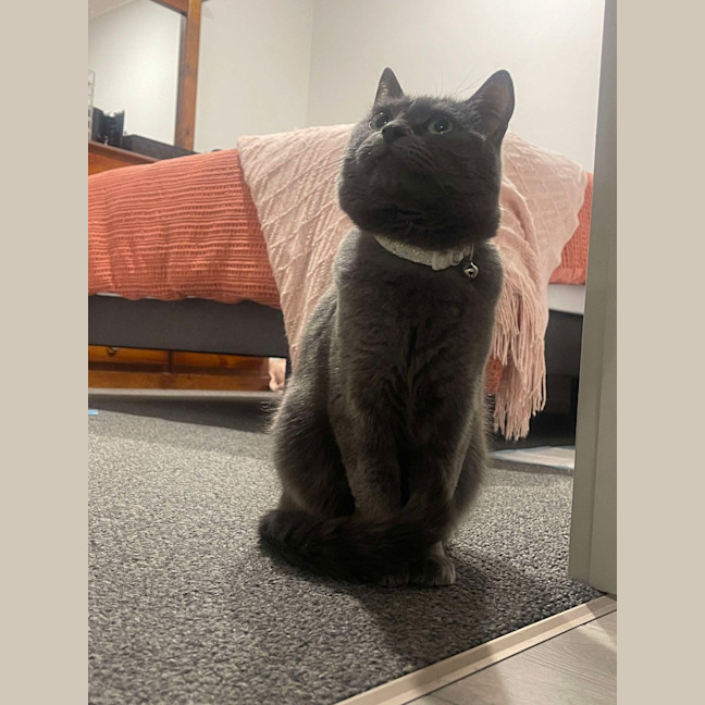 Photo of Mia (Memeow)