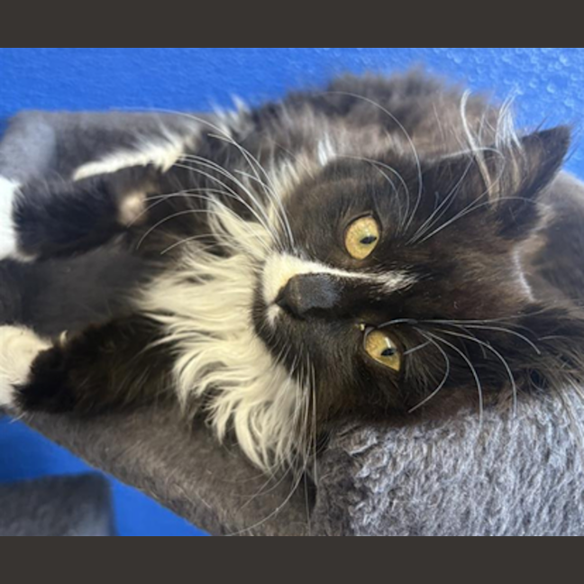 Photo of Mahina