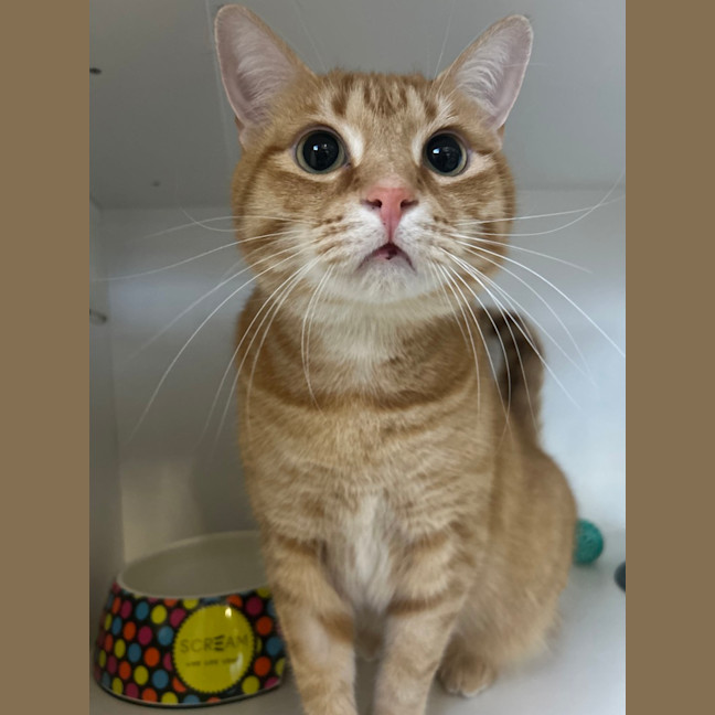 Photo of Timothy