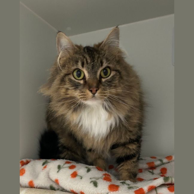 Photo of Rhaena