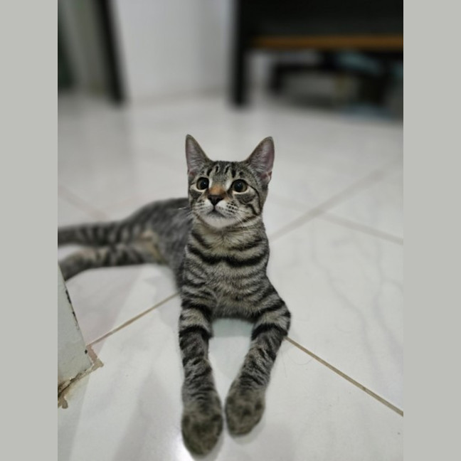 Photo of Bobbi