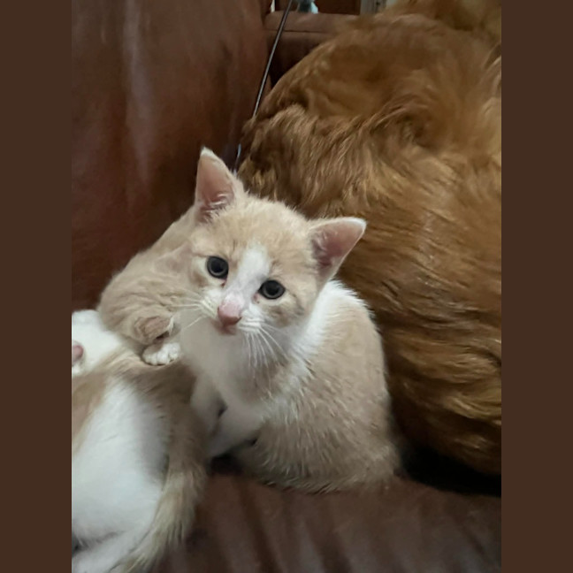 Photo of Theodore