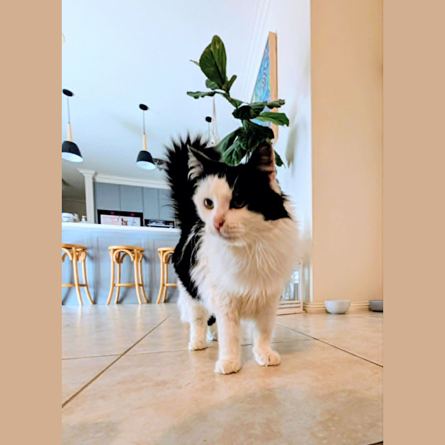 Photo of Maggie Moo