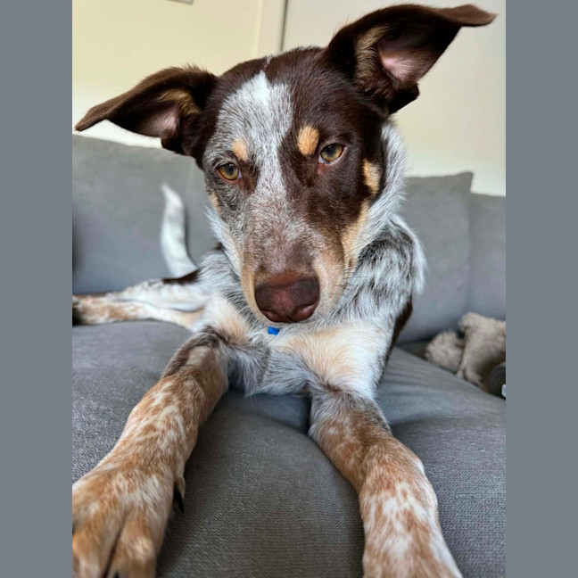 Photo of Cash