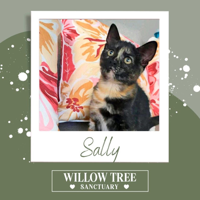 Photo of Sally