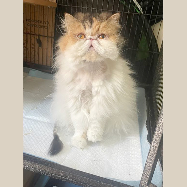 Photo of 📦Lois📦