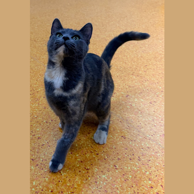 Photo of Maybelle