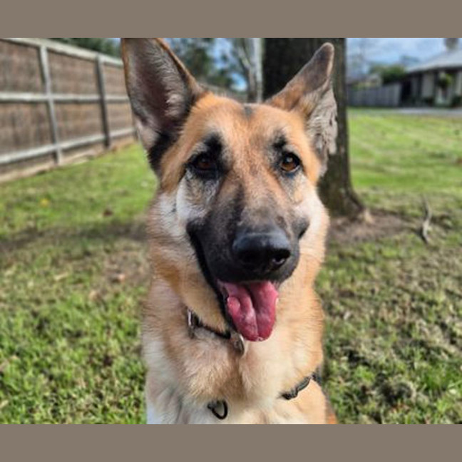 Photo of Heidi