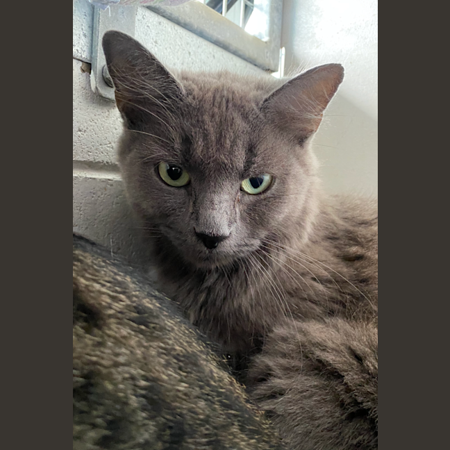 Photo of Coco