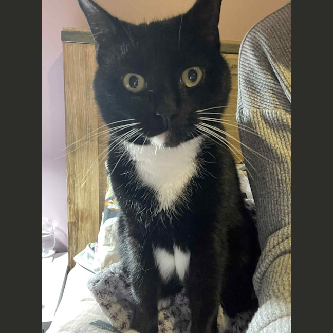 Photo of Hershey   Located In Bentleigh East