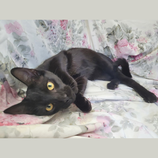 Photo of Pretzel 🥨