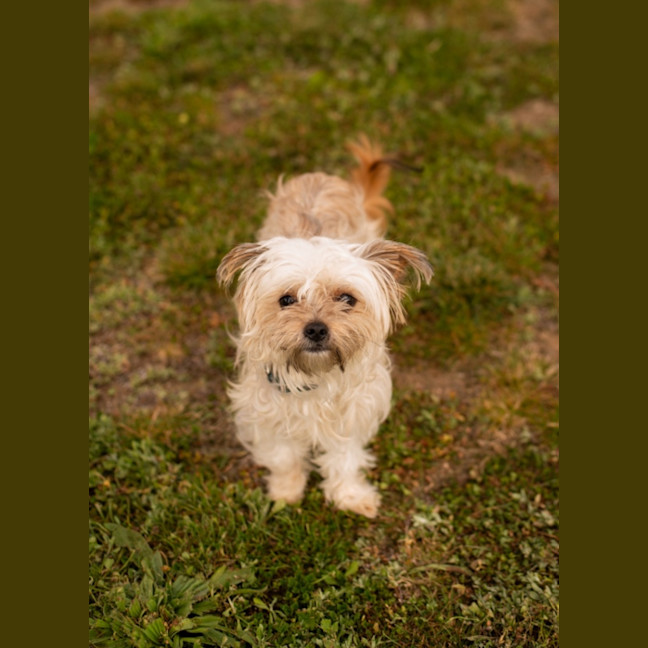 Photo of Ruby