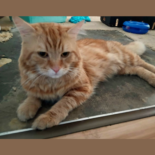 Photo of Ed