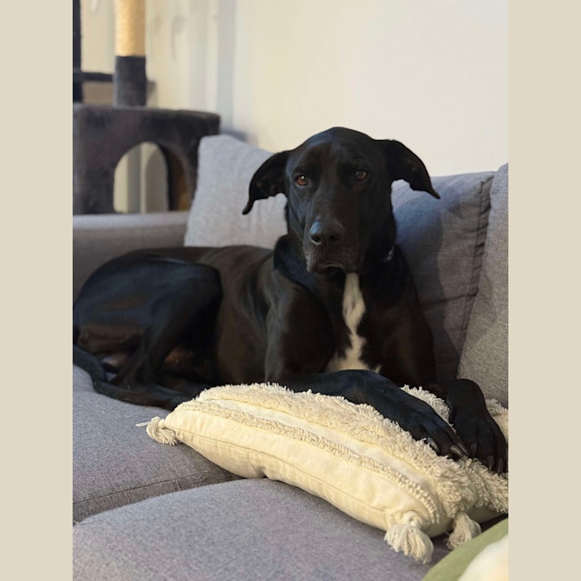 Photo of Duke