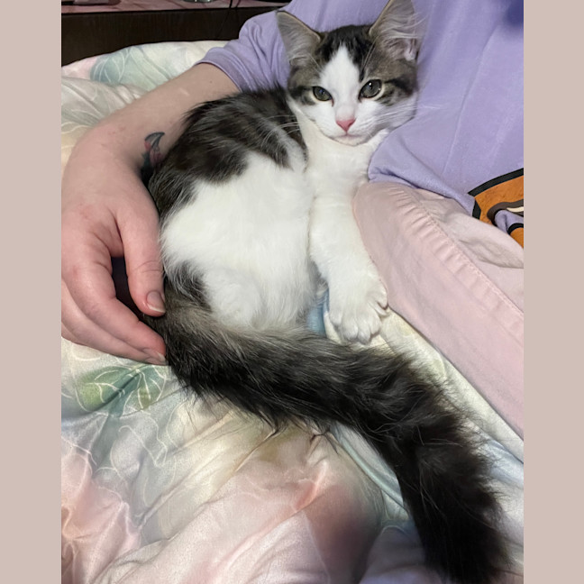 Photo of Bean Sprout
