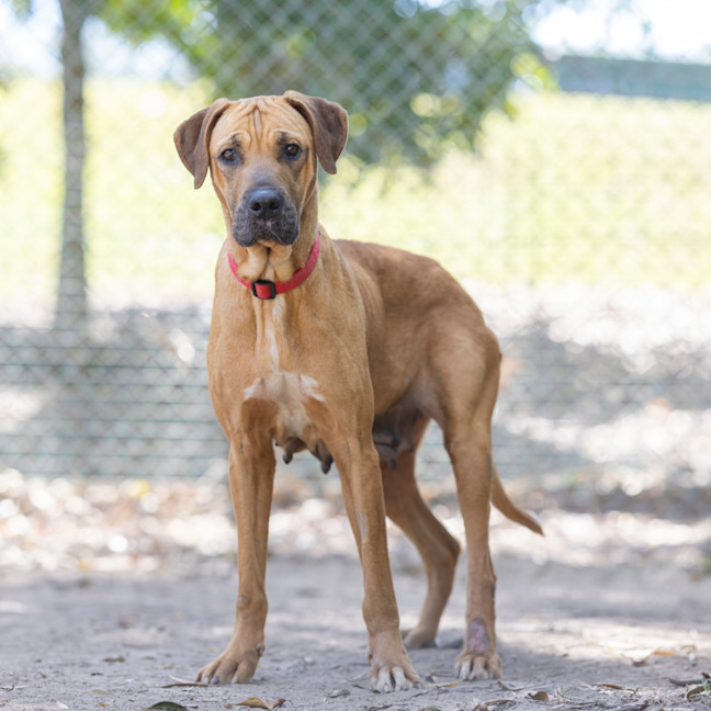 Photo of Dayna (Donya)