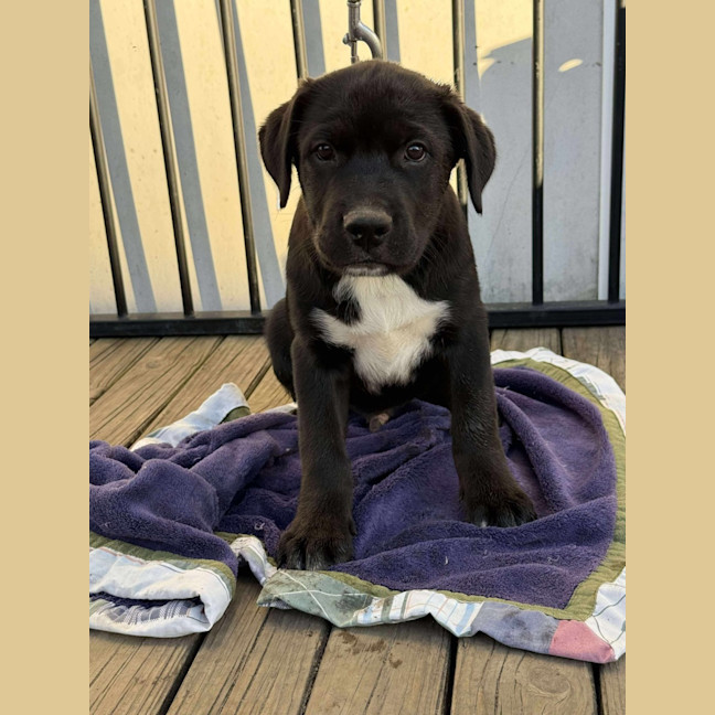 Photo of Jasper