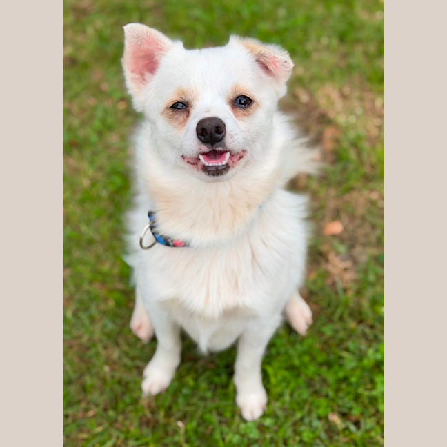 Photo of Benny