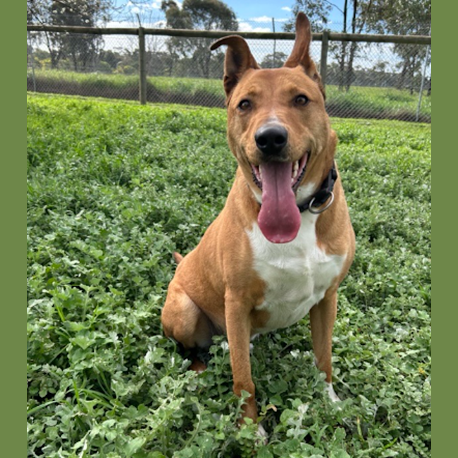 Photo of Duke