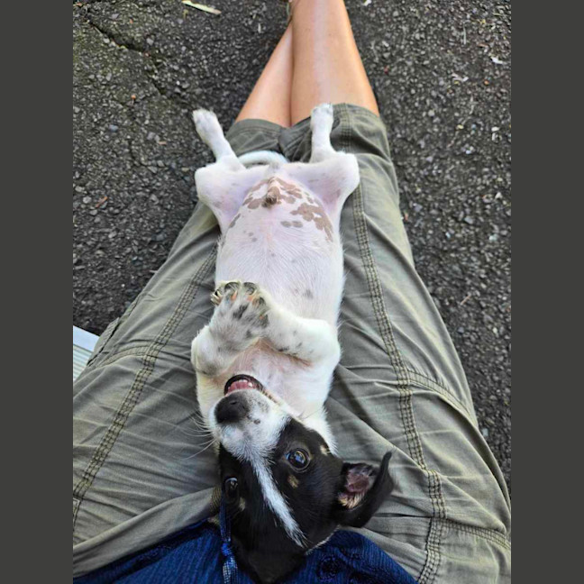 Photo of Murphy Muddle