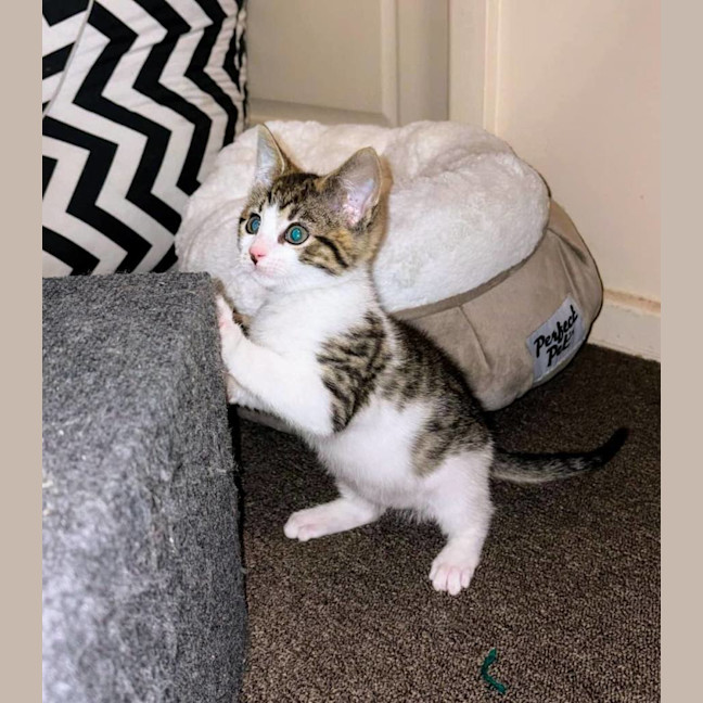 Photo of Flynn