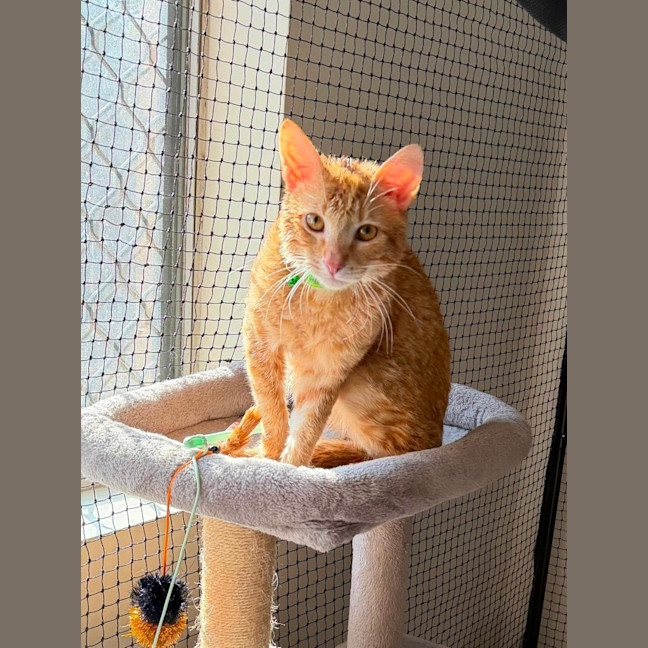 Photo of Ren