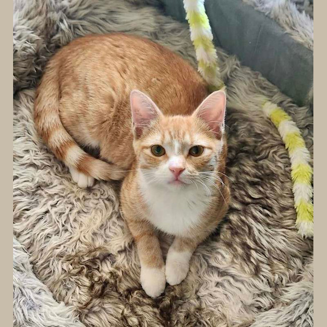 Photo of Lily