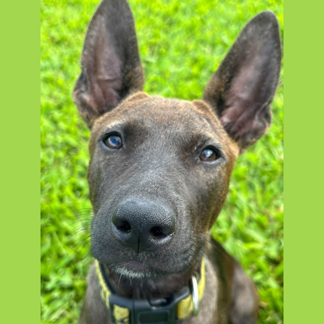 Photo of Lil Olive