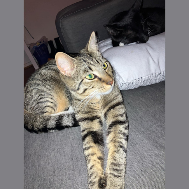 Photo of Coco And Mocha 