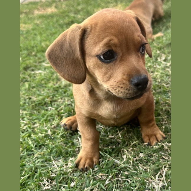 Photo of Audrey