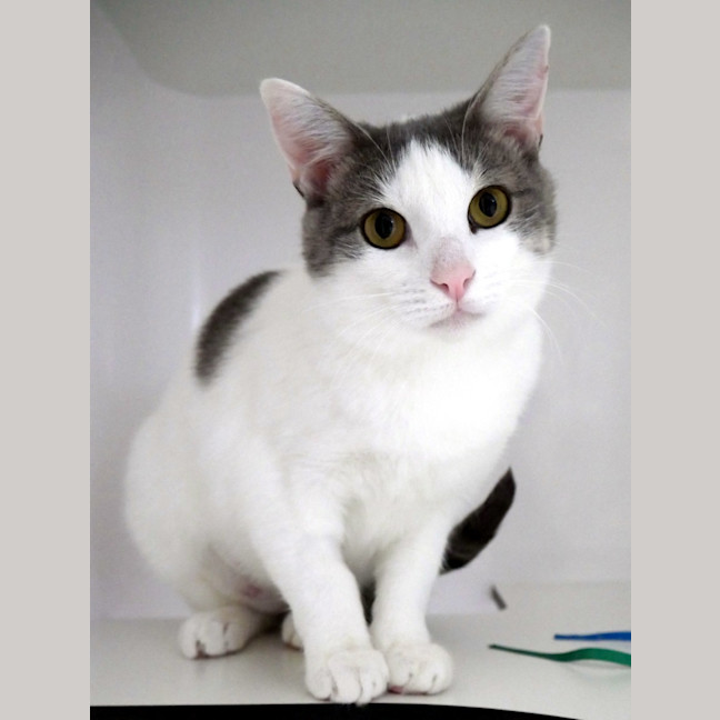 Photo of Minna Suk013618