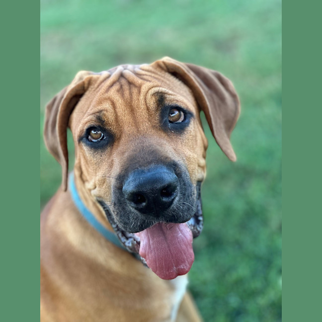 Photo of Tex