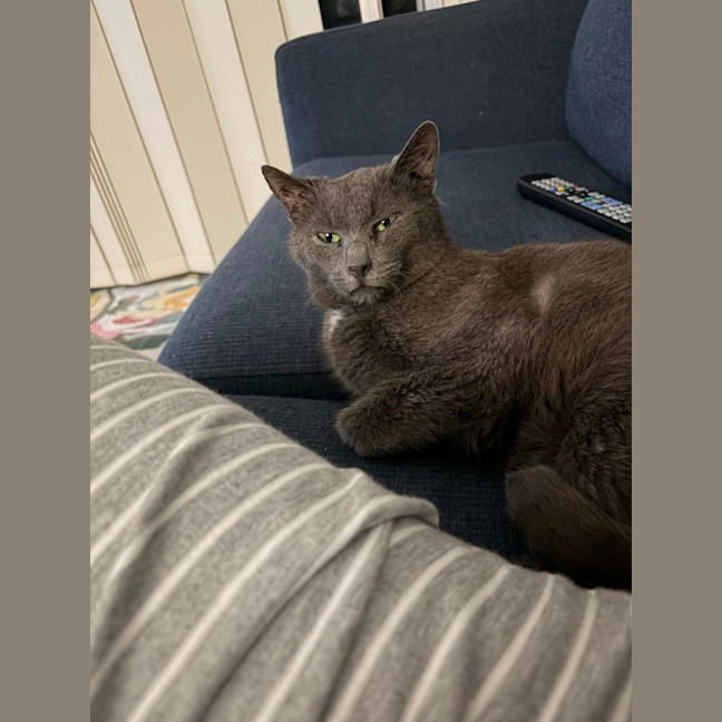 Photo of Ralph