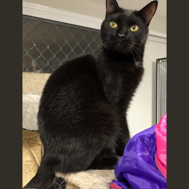 Photo of Cash And Radley