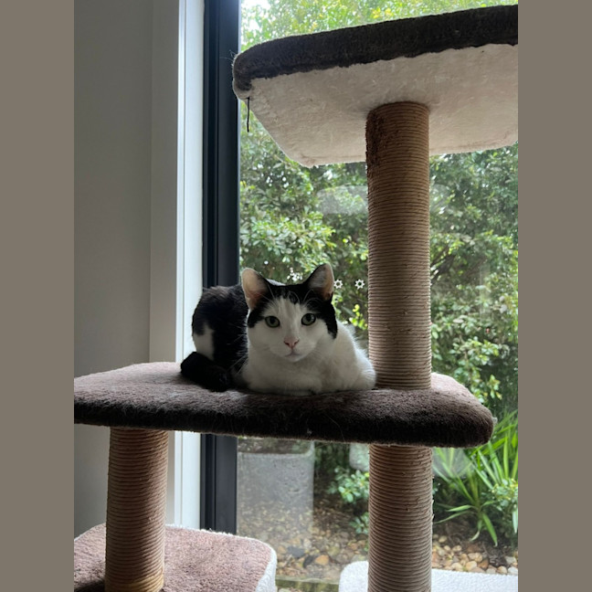 Photo of Winnie