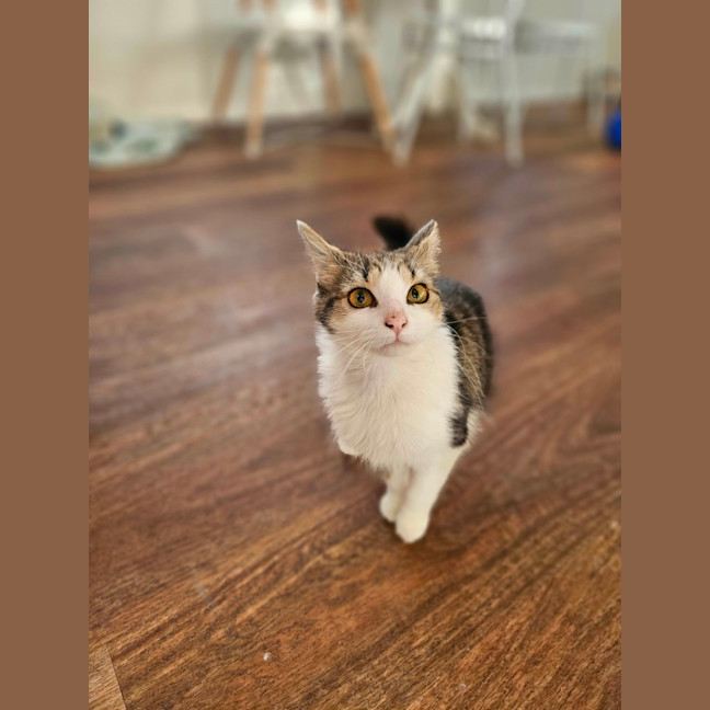 Photo of Princess Momo