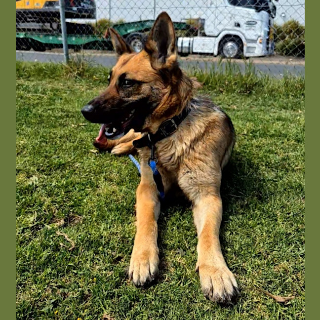 Photo of Kita (64256)
